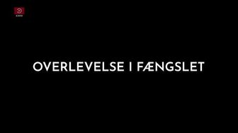 High Surviving A Dubai Drugs Bust S01E04 WEB H264-RBB
