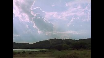 Nature S44E13 WEB H264-RBB