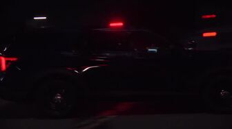 Cops S37E49 WEB H264-RBB